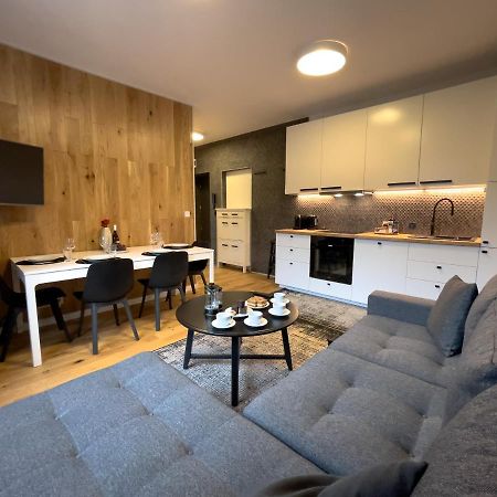 Urban Apartments Premium No 3, Free Private Parking, Self Check-In Chorzów Kültér fotó
